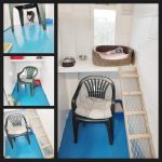Cat Deluxe Suite