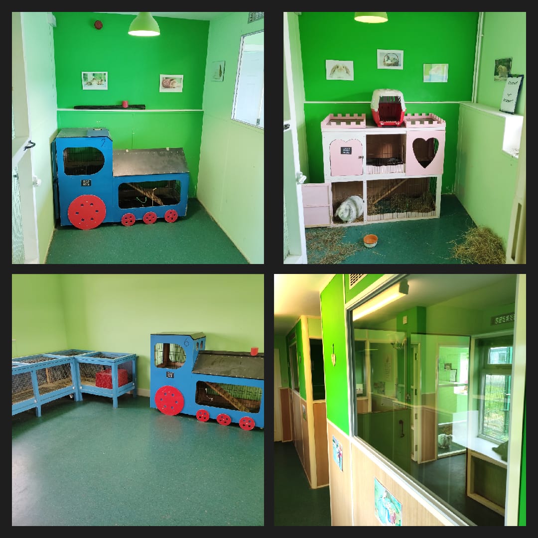mypetstop - Rabbit, bird & small animal boarding | Washington